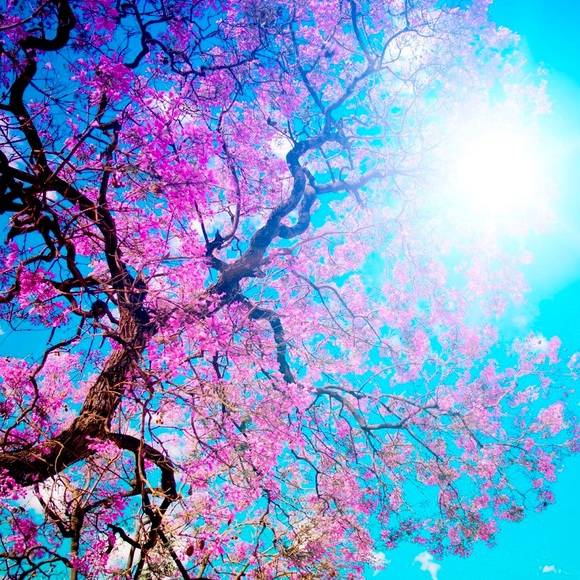 Meet your Posher, Crystal - Picture 1 of 2